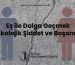 Eş ile Dalga Geçmek: Psikolojik Şiddet ve Boşanma